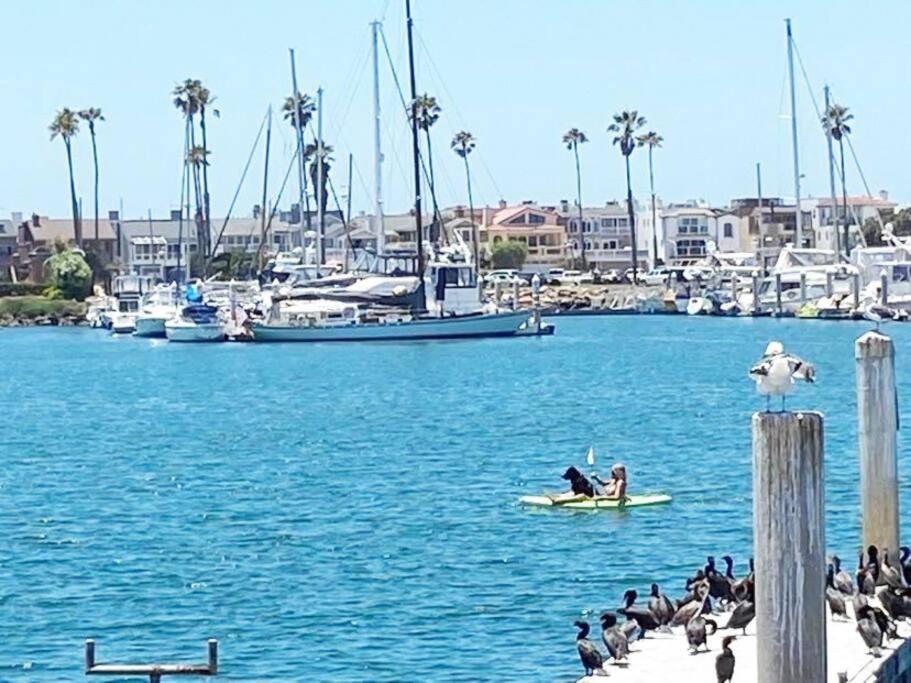 Gateway To Oxnard Beach 外观 照片